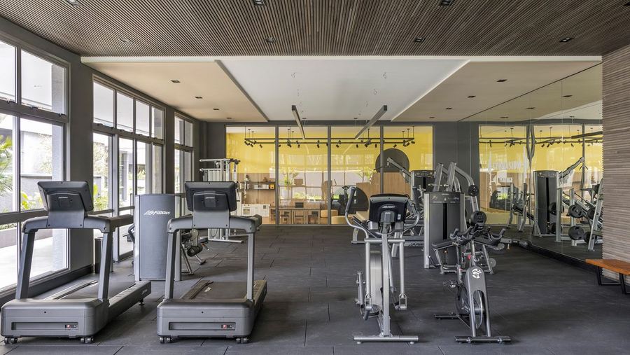 Gymnasium